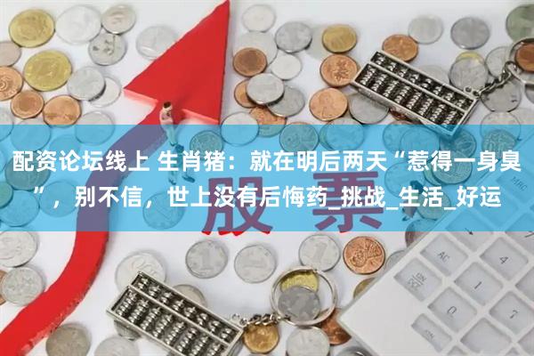 配资论坛线上 生肖猪：就在明后两天“惹得一身臭”，别不信，世上没有后悔药_挑战_生活_好运